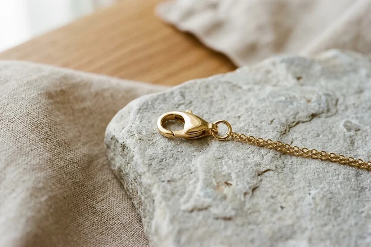The clasp and the links